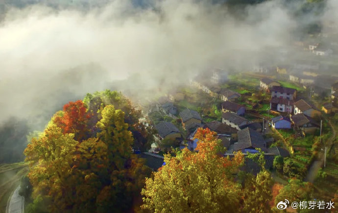 阿野工作室 作品封面