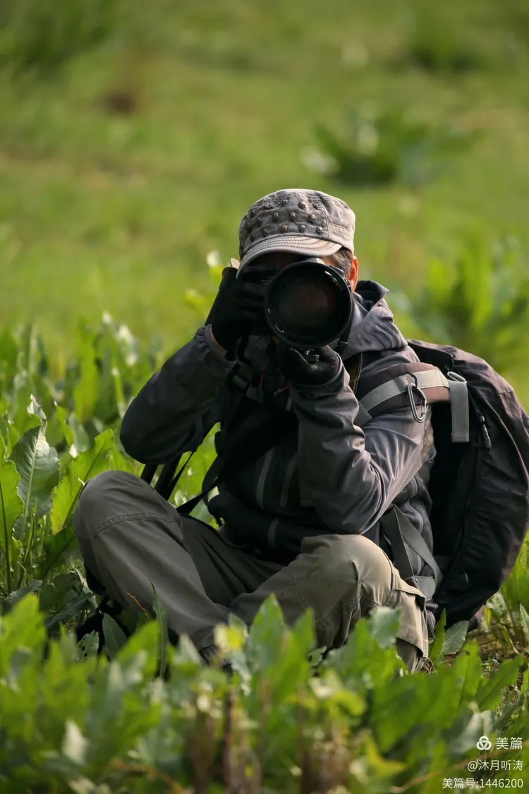 海盐影像社 头像